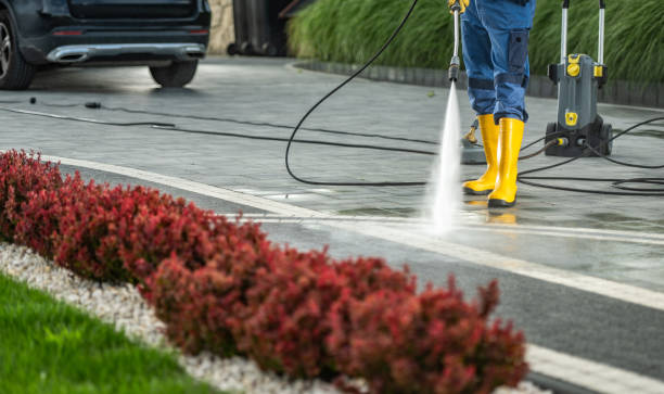 Best Animal Enclosure Cleaning  in Head Of The Harbor, NY